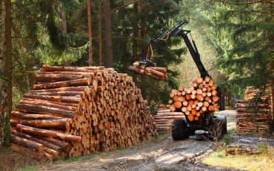 Stucchin ryhmäpikaliittimet ovat hydrauliikkaliittimien aatelia
